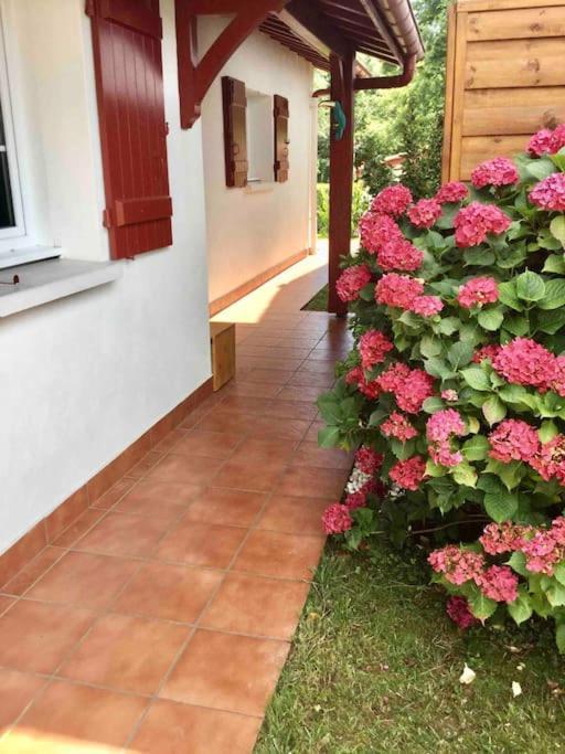 1Km Plage, Agreable Maison 6 Pers Classee 3* Hendaye Eksteriør bilde
